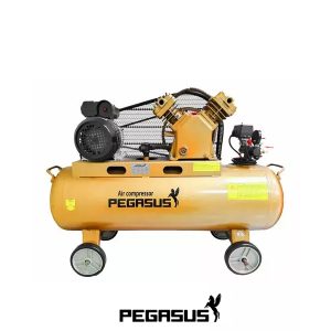 Pegasut PE 120L 06 Máy Nén Khí  -  PE TM-W-0.36/8-120L-4HP (220V)