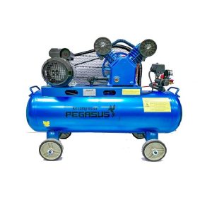Pegasut PE 120L 03 Máy Nén Khí  -  PE TM-V-0.25/8-120L-3HP (380V)