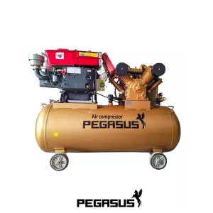 Pegasut PE 230L 11 Máy Nén Khí PE TM-W-0.67/12.5-230L-7.5HP (D8)