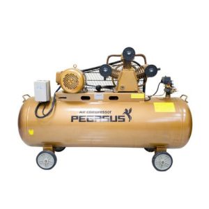 Pegasut PE 330L 09 Máy Nén Khí PE TM-W-1.0/8-330L-10HP