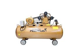 Pegasut PE 500L 14 Máy Nén Khí PE TM-W-1.6/12.5-500L-15HP Đầu nổ D24