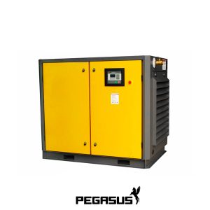 Pegasut-TMPM-30A (Áp 12) Máy Nén Khí Trục Vít